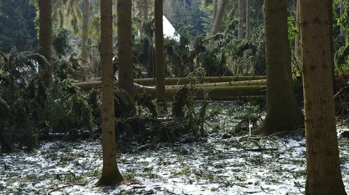 Vyvrácené stromy v rekreační oblasti Suchý na Blanensku