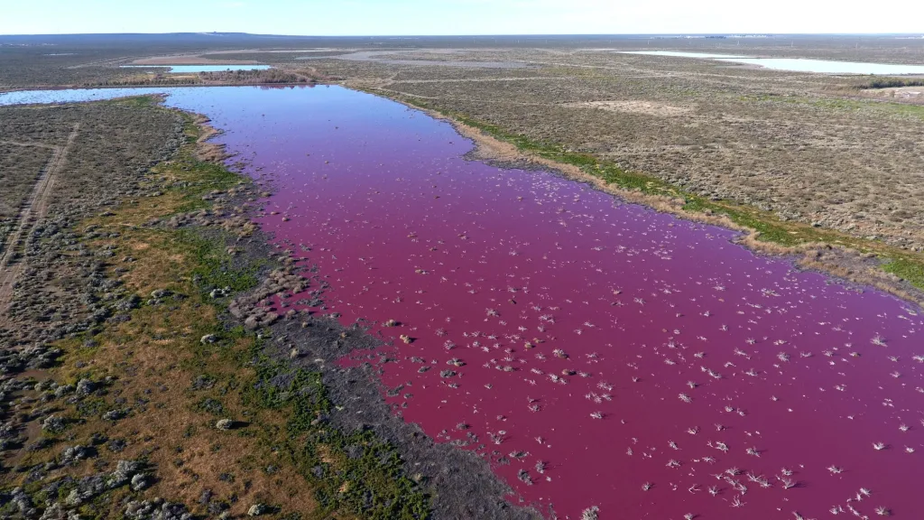 Snímek pořízený z dronu ukazuje argentinskou lagunu Corfo u města v Trelew, která se kvůli znečištění chemickým odpadem zbarvila do jasně růžové barvy