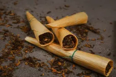 Lidé užívali tabák o tisíce let dříve, než se dosud vědělo, ukázal objev. Není ale jasné, jestli ho kouřili, nebo žvýkali