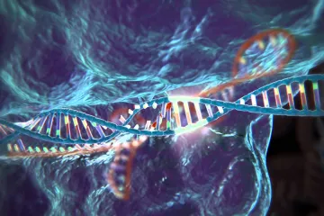 Genetické nůžky CRISPR jsou účinné i proti covidu. Hledá se cesta k léku