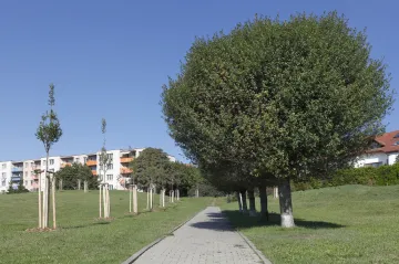 Brňané mohou připomínkovat návrh nového územního plánu. Měli by v něm najít víc zeleně