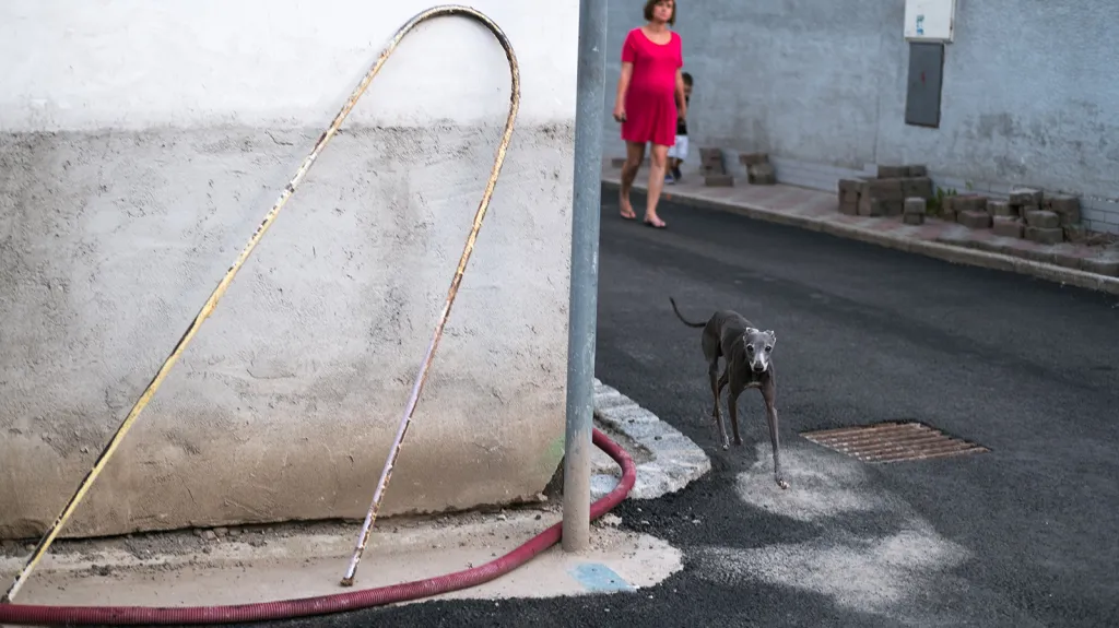 Z výstavy Davida Gaberleho – Na Prahu