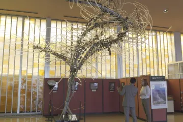 Česká skleněná plastika se vrátí po půl století z Japonska domů