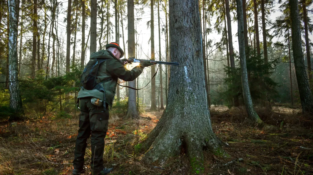 Vyškolení myslivci budou střílet divočáky v epicentru nákazy