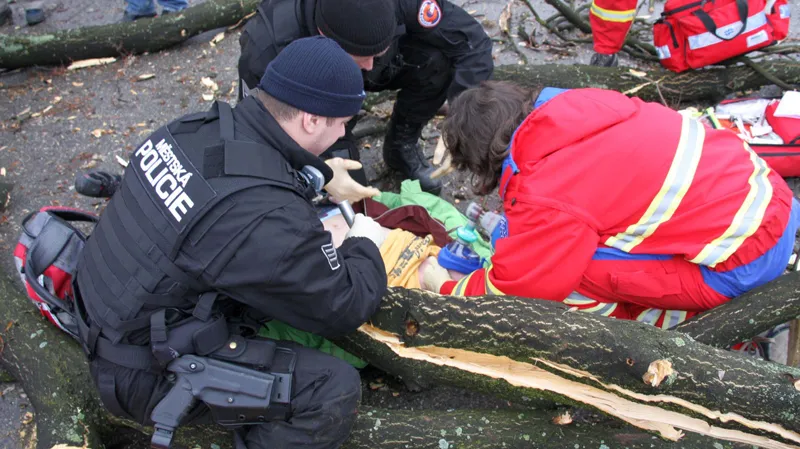 Strom se vyvrátil ze země a spadl do skupinky procházejících občanů. Záchranáři byli na místě za tři minuty a okamžitě začali poskytovat první pomoc šesti zraněným.