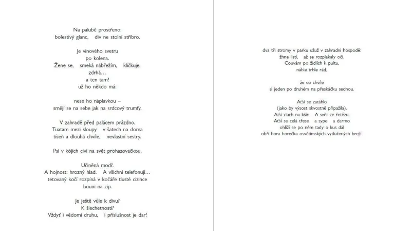 Ukázka ze sbírky Karla Šiktance Horniny