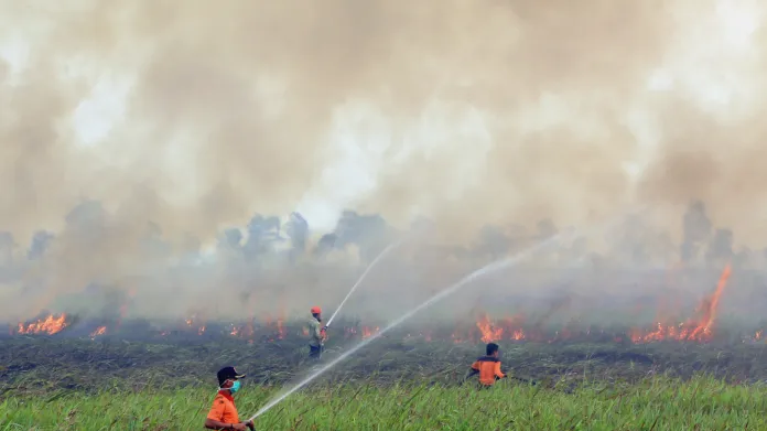 Indonésii zasáhla v roce 2015 masivní vlna požárů