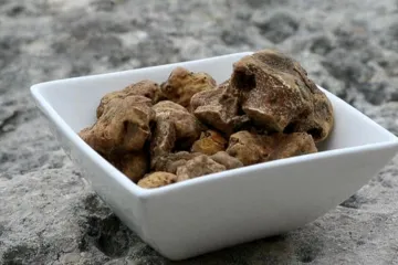 Lanýžům se daří i ve Skotsku, radují se vědci. Delikatesu chtějí zachránit před globálním oteplováním