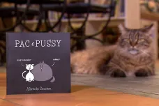 Pac & Pussy jsou ve vazbě, kočky z facebookového komiksu komentují život i knižně