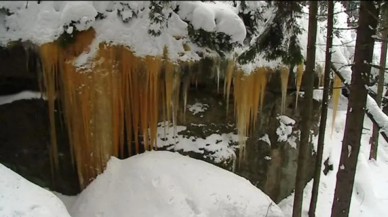 Reportáž Josefa Kvasničky