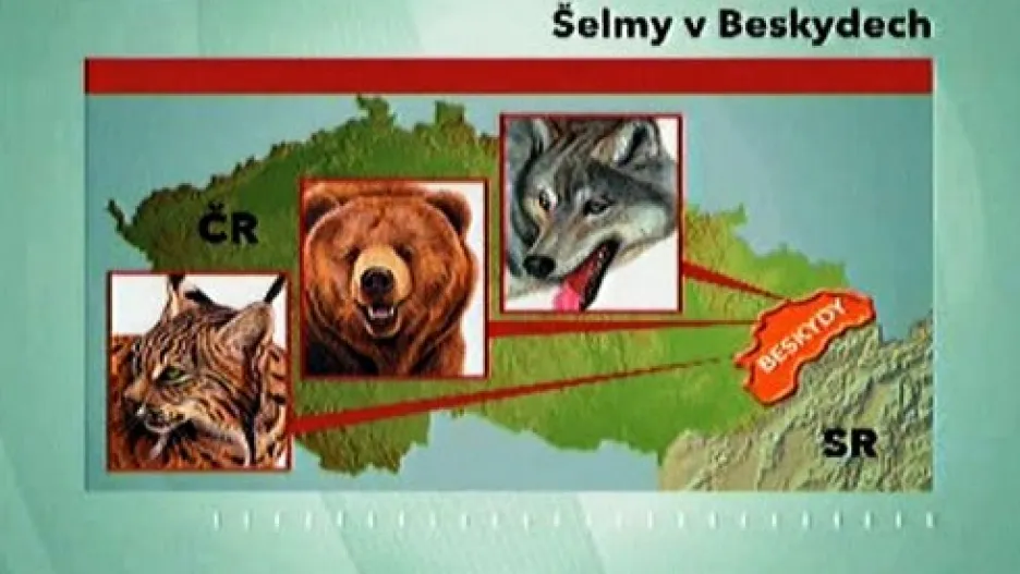 Šelmy v Beskydech