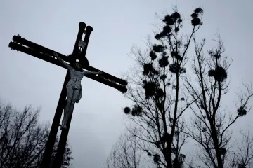 Brněnské biskupství řeší počínání kněze ze Znojemska. Podle Deníku má jít o sexuální zneužívání