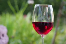 Vědci popsali, proč po červeném vínu bolí hlava. Pomoci může levnější láhev