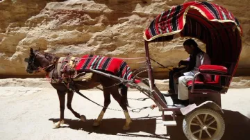 Beduín s oslem míří za turisty
