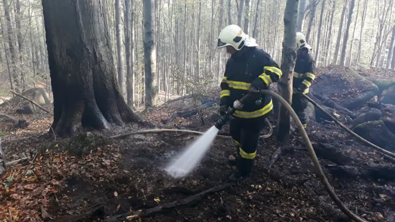 Požár lesa u Raspenavy