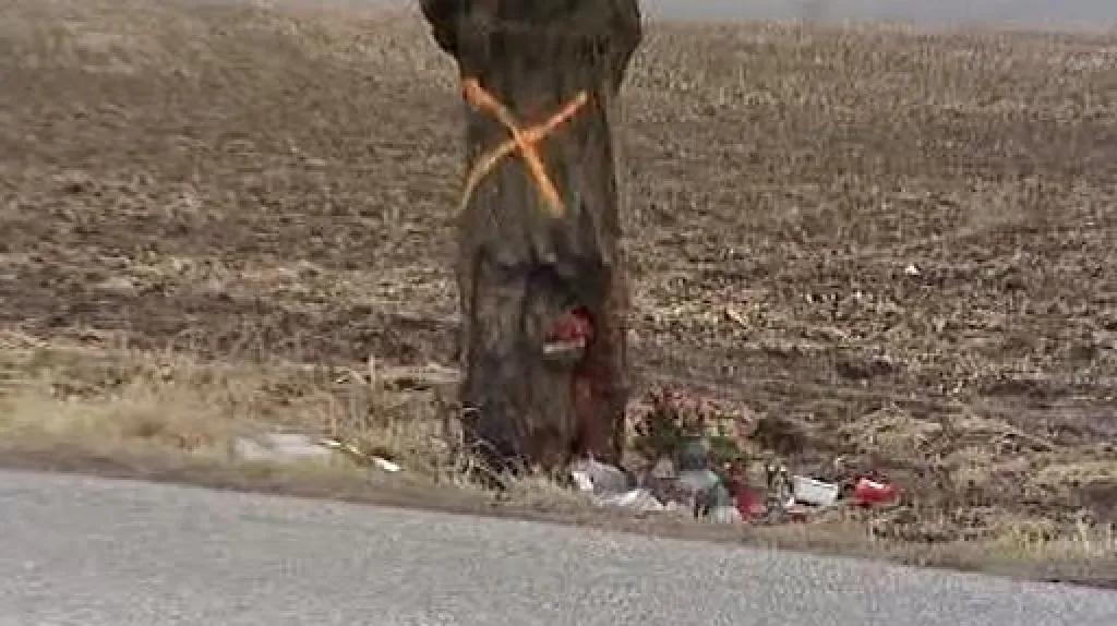 Pomníček u silnice