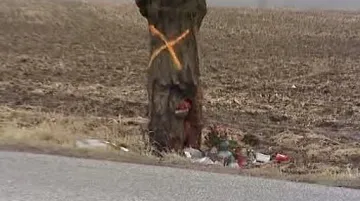 Pomníček u silnice