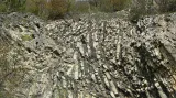 Jako pomocný mezinárodní stratotyp (parastratotyp) hranice silur-devon, doplňující mezinárodní stratotyp klonk, byla v roce 1972 schválena Budňanská skála v Karlštejně