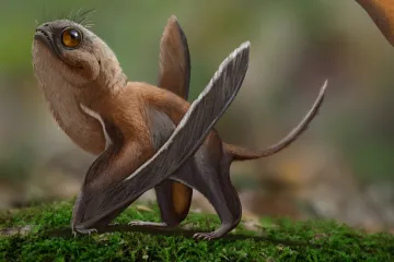 Čínský ptakoještěr byl velký jako vrabec, připomínal tvora z Hvězdných válek