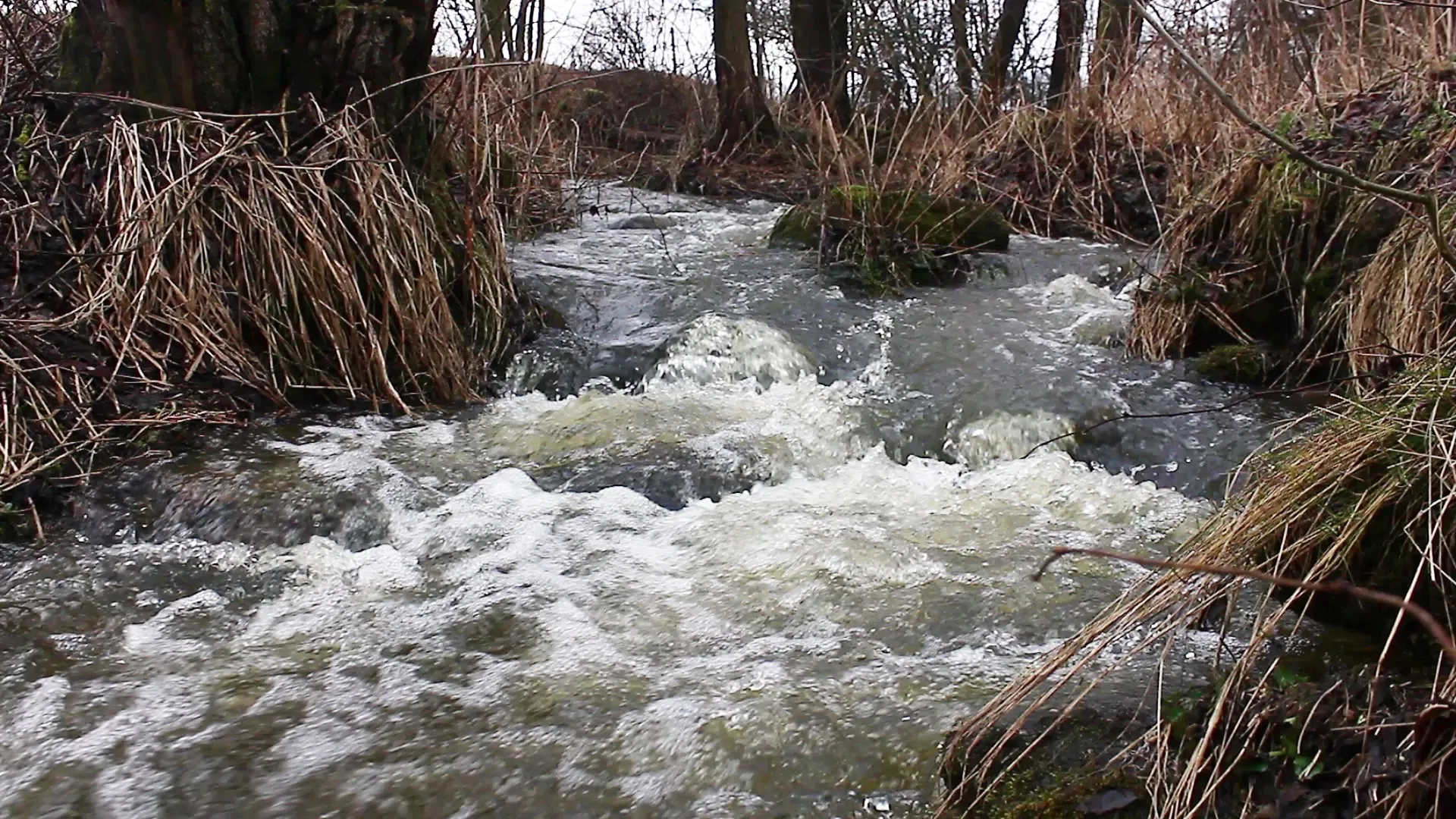Obleva zvedla hladiny řek na povodňové stupně
