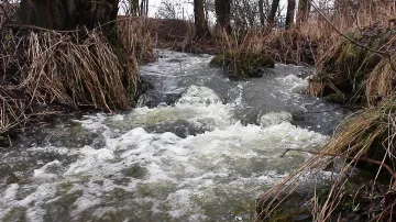 Petr Lívanec: Nosetín, Jihočeský kraj (23. 2. 2026)