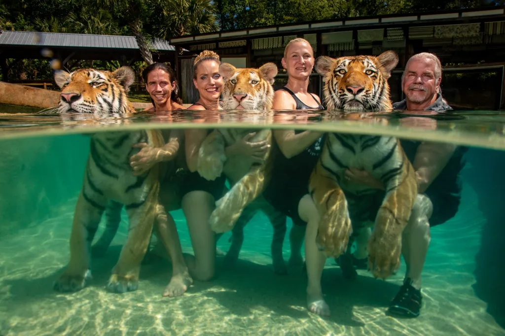 Soubor fotografií Steveho Wintera s názvem The Tigers Next Door (Tygři odvedle) řeší problematiku soukromého vlastnictví šelem. V USA žije pět až 10 tisíc tygrů. Soukromé zoologické zahrady za úplatu dovolují hostům, aby se s nimi mohli mazlit a fotit. Jednotlivci je také chovají jako domácí mazlíčky