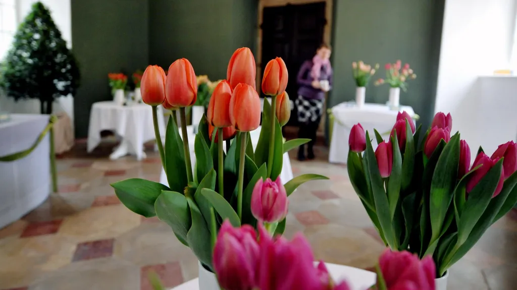 Výstava tulipánů na zámku v Buchlovicích