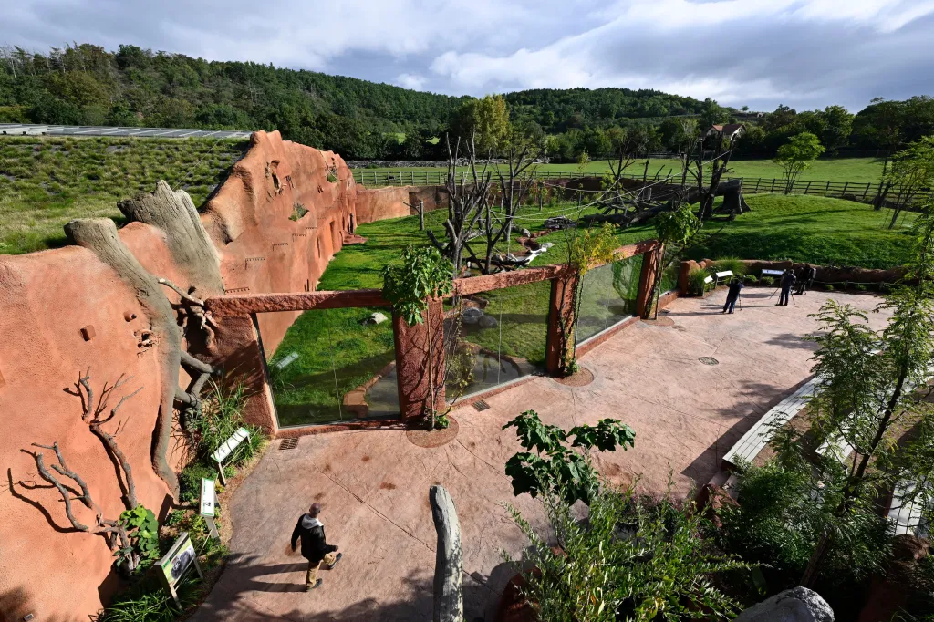 Pražská zoologická zahrada představila nový pavilon goril