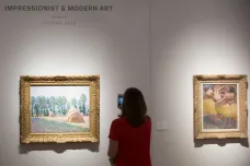 Aktivisté v Postupimi vylili na Monetův obraz bramborovou kaši, ochránilo ho ale sklo