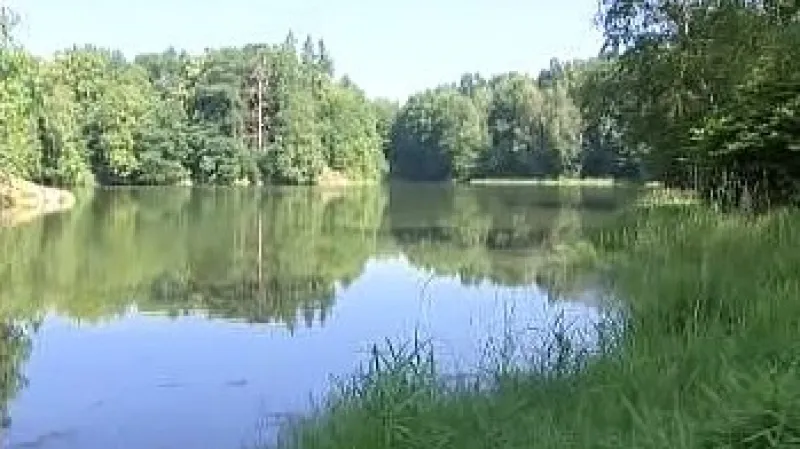 Hygienici opět vydali STOP koupání v přehradě Skalka u Chebu.