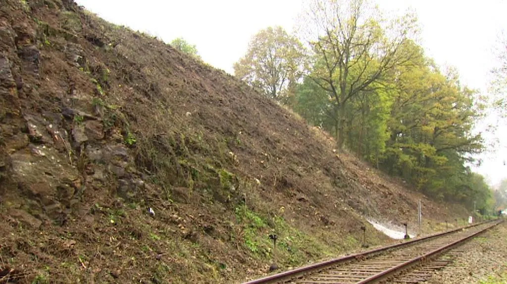 Vykácená alej u Dačic