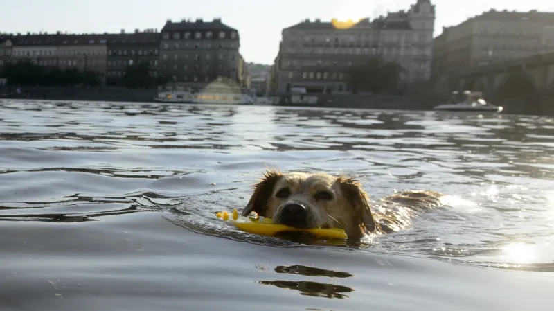 Rašínovo nábřeží v Praze 17. června