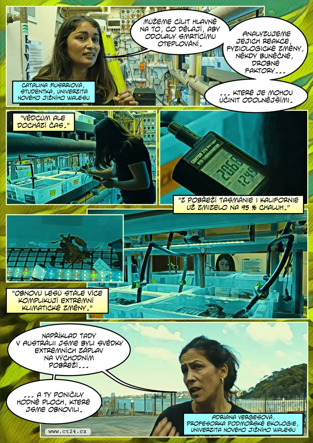 Boj s úhynem chaluh