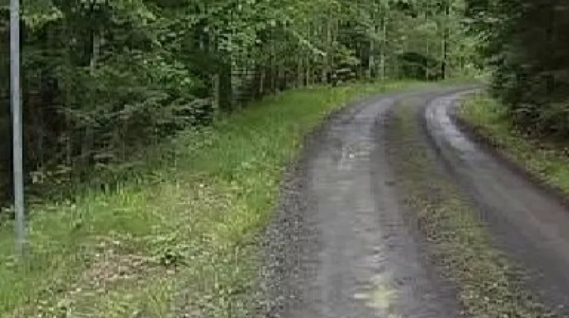 Hranice mezi Českem a Polskem na Frýdlantsku