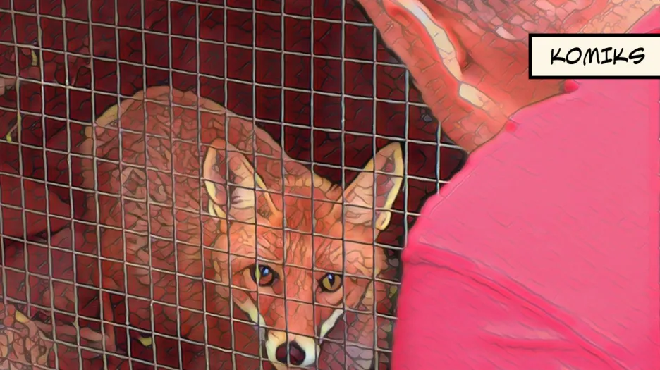 Záchranným stanicím pro zvířata chybí peníze na výplaty i nutné opravy