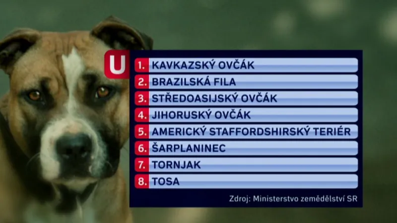 Seznam plemen, která by se měla omezit