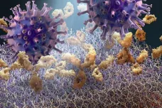 Akademie věd vyvíjí biočip proti koronaviru. Bude fungovat jako automat na kávu