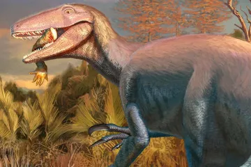 Vědci objevili neznámého megaraptora
