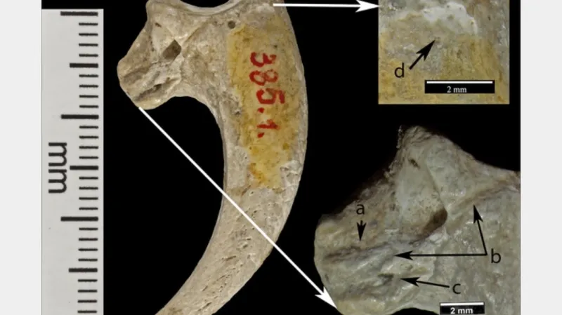 V Chorvatsku našli nejstarší šperky