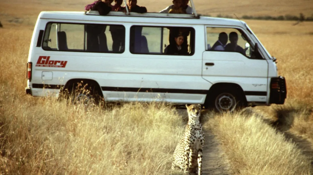 Safari v Masai Mara