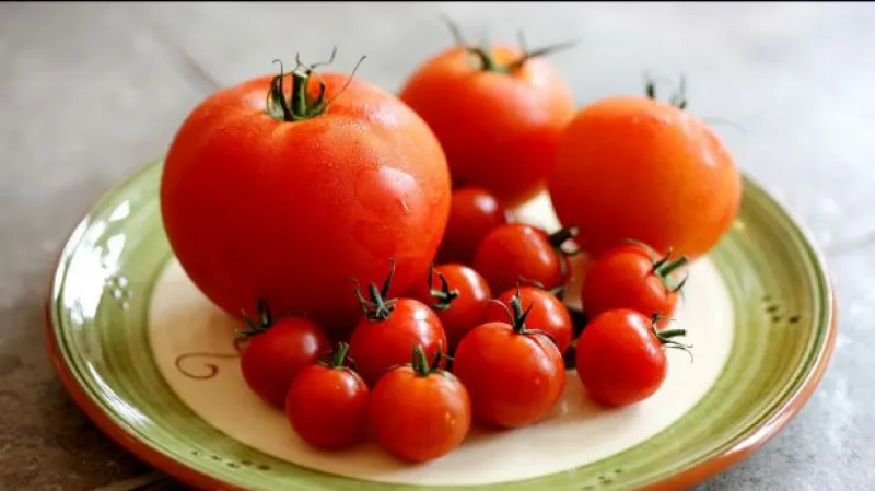 Reportáž Zuzany Luňákové