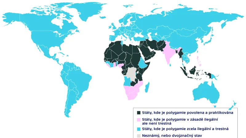 Polygamie ve světě