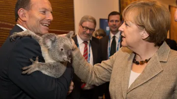 Koalu v náruči Tony Abbotta hladí německá kancléřka