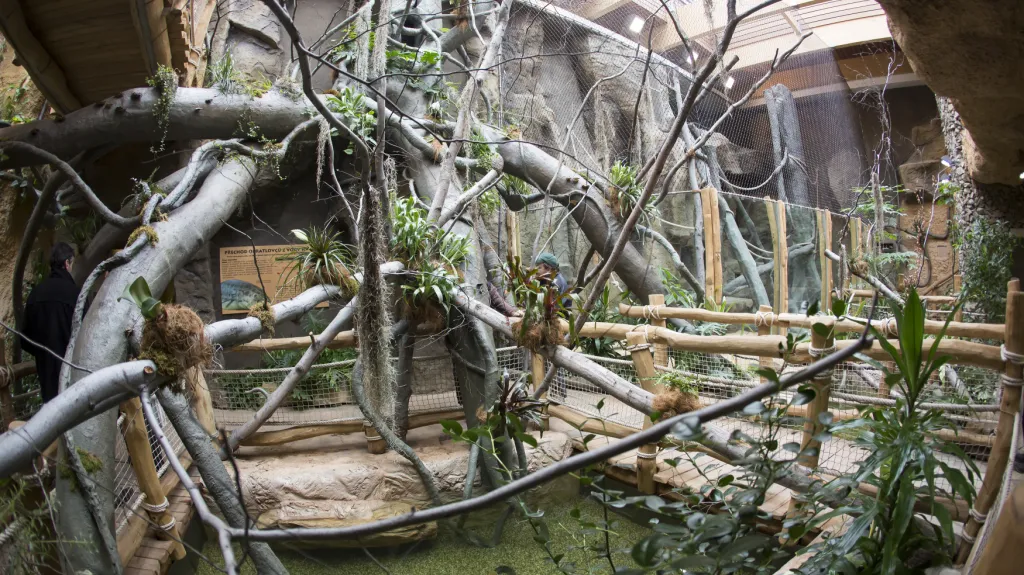 Pavilon Evoluce v ostravské zoo
