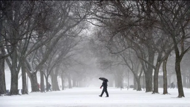 Bez komentáře - sníh Washington