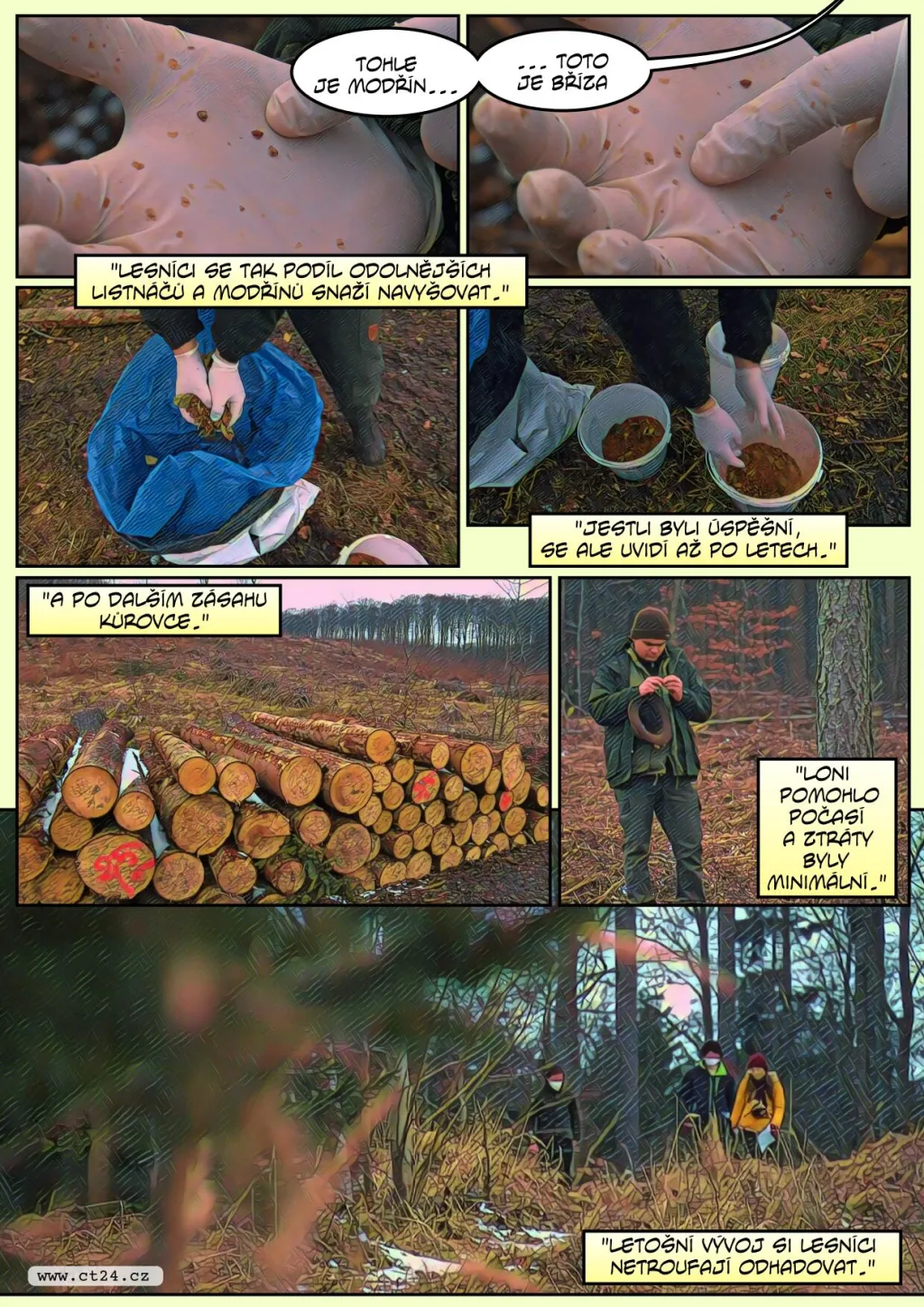 Odolné stromy by mohly vytlačit kůrovce