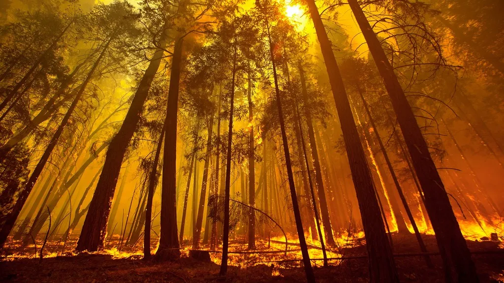 Yosemity v plamenech