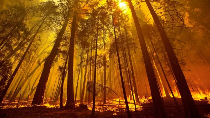 Yosemity v plamenech