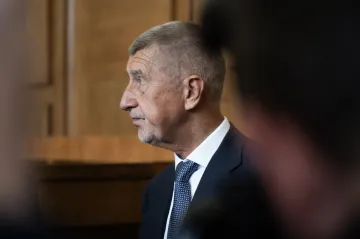 Farma Čapí hnízdo nemohla sama financovat projekt areálu, uvedl znalec