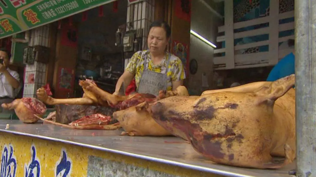 Festival psího masa v čínském Jü-linu